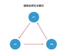 種一棵樹,與做一個產品,有多少相同之處