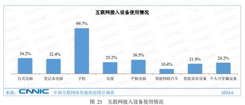 權威報告 上半年手機網民規(guī)模達10.96億人,電視上網比例為25.2